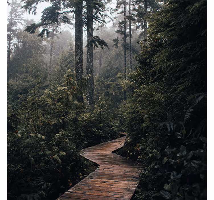 Estore de rolo para sala caminho da natureza na floresta - TenStickers