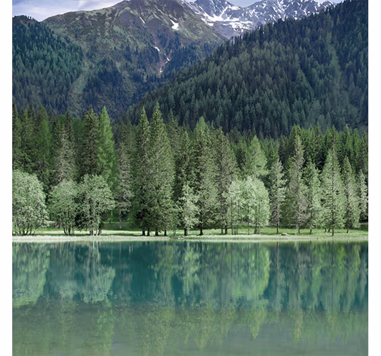Estore de rolo para sala lago verde da natureza - TenStickers