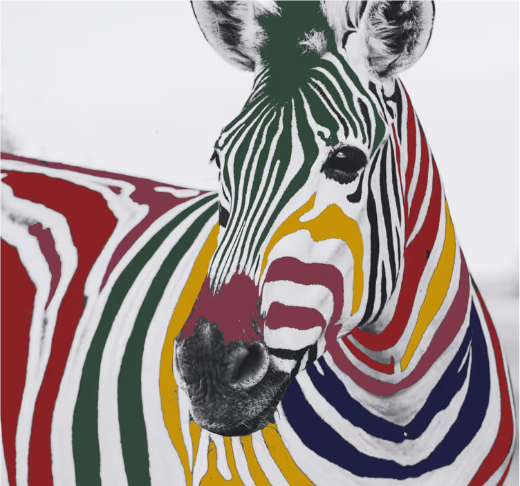 Estore de rolo para sala pintura de zebra colorida - TenStickers