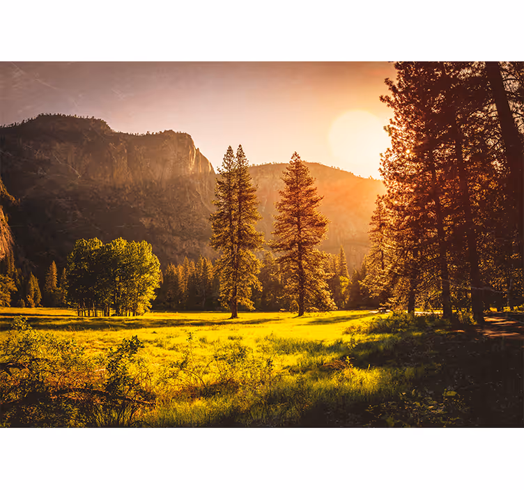 Estore de rolo para sala pôr do sol atrás das árvores - TenStickers