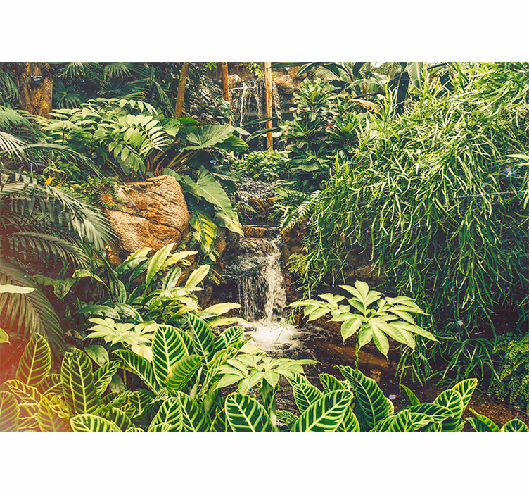 Estore de rolo para sala floresta tropical verde linda - TenStickers
