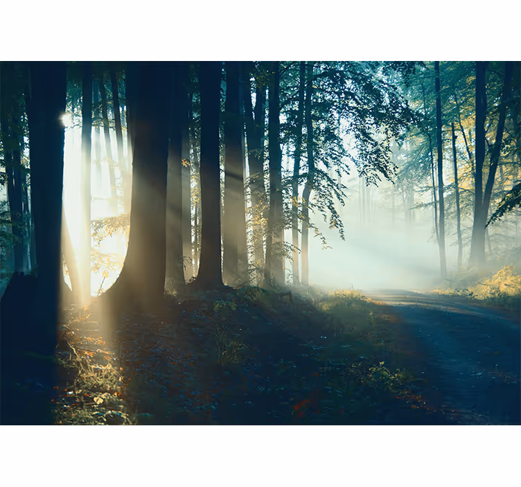 Estore de rolo para sala floresta de inverno sem folhas - TenStickers