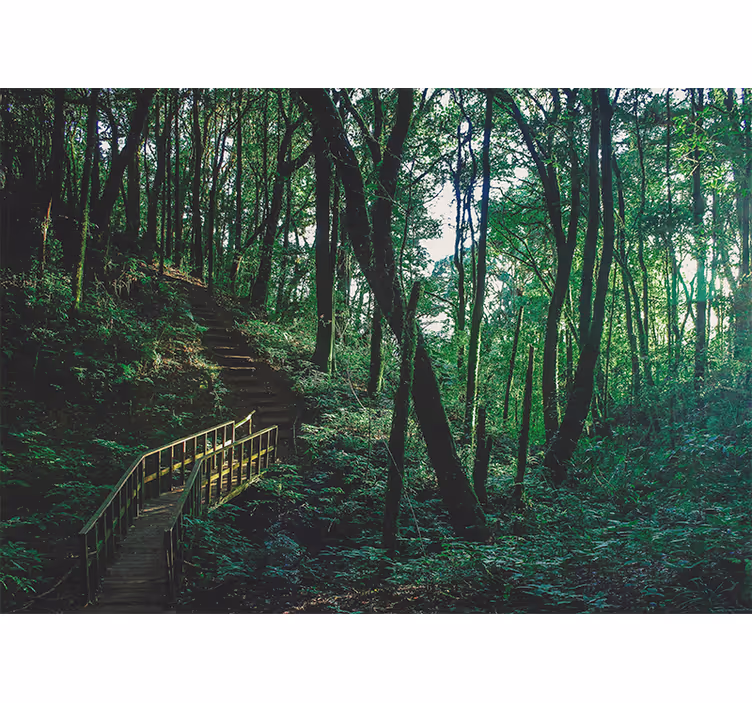 Estore de rolo para sala paisagem de árvores verdes - TenStickers