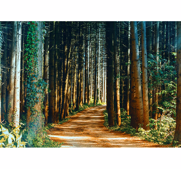Estore de rolo para sala portão de árvore natural - TenStickers