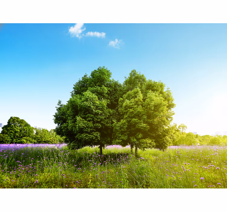Estore de rolo para sala Árvore alta de primavera - TenStickers