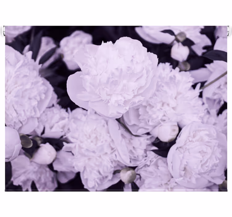 Estore de rolo para sala flores de peônia rosa elegante - TenStickers