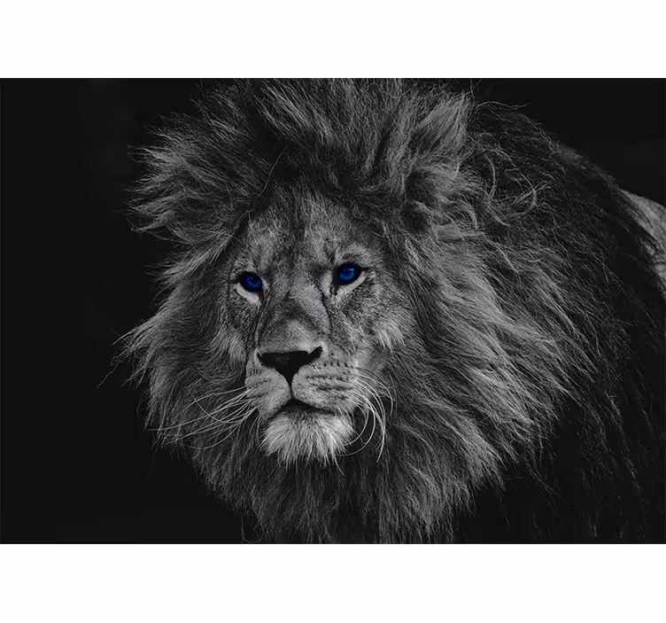 Estore de rolo cinzento leão de olhos azuis - TenStickers