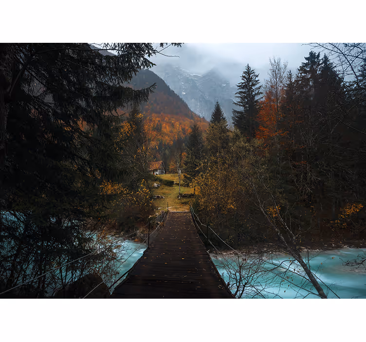 Estore de rolo quarto ponte na floresta - TenStickers