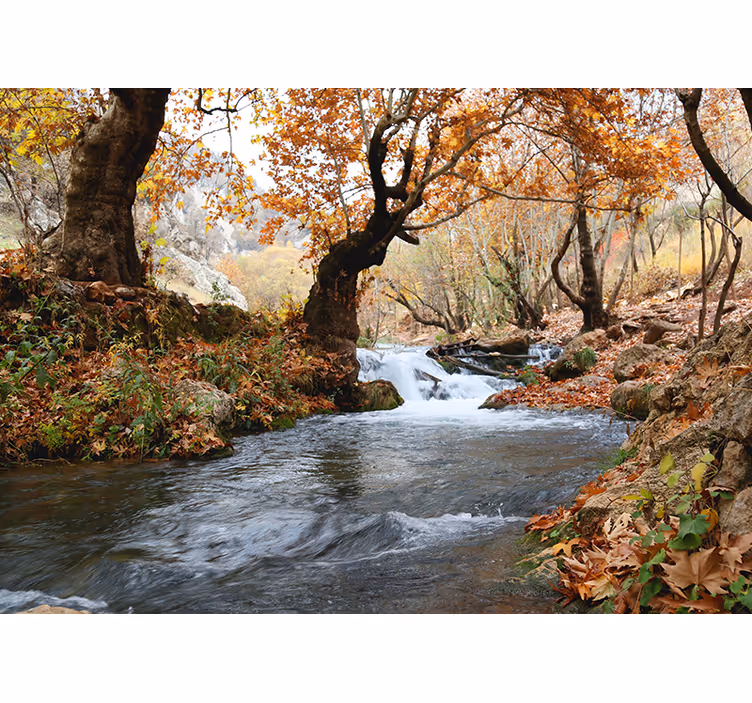 Estore de rolo quarto água rápida no rio da floresta outonal - TenStickers