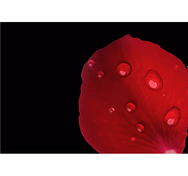 Estore de rolo quarto padrão de rosas vermelhas com gotas - TenStickers