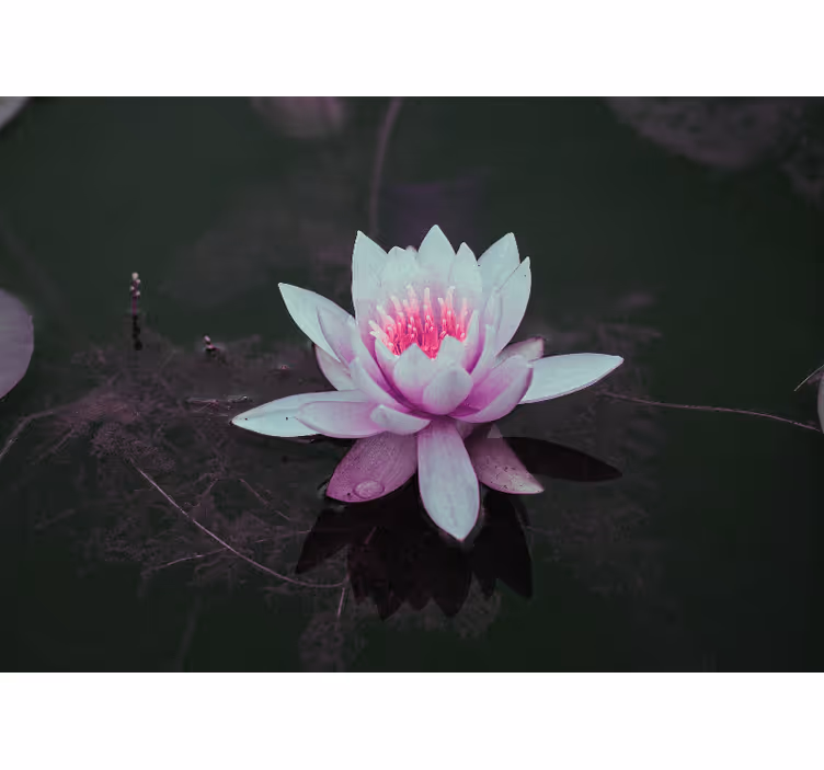 Estore de rolo quarto loto vintage rosa - TenStickers