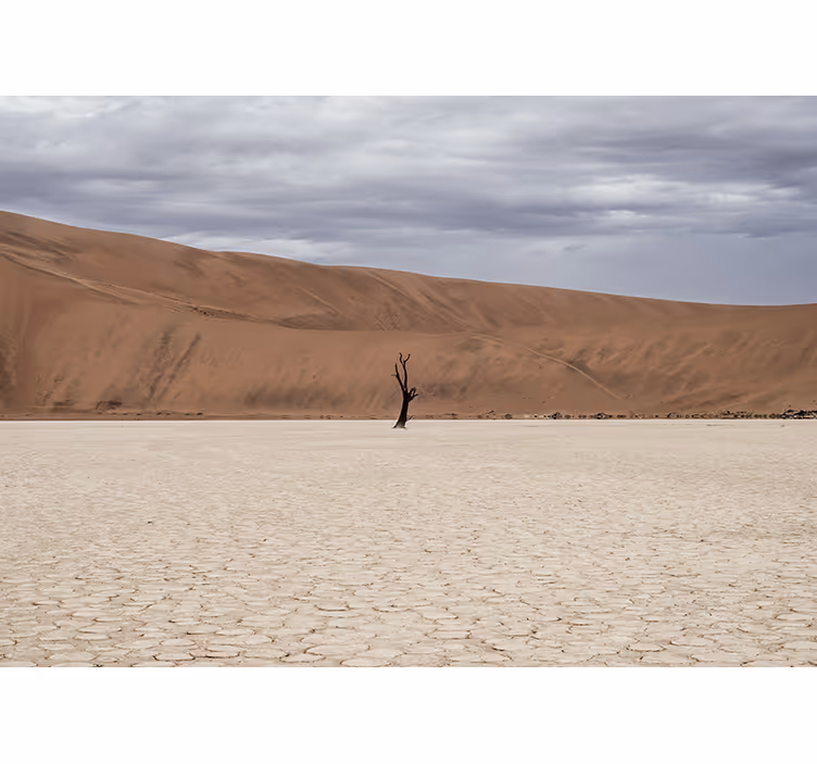 Estore de rolo quarto paisagem desértica - TenStickers
