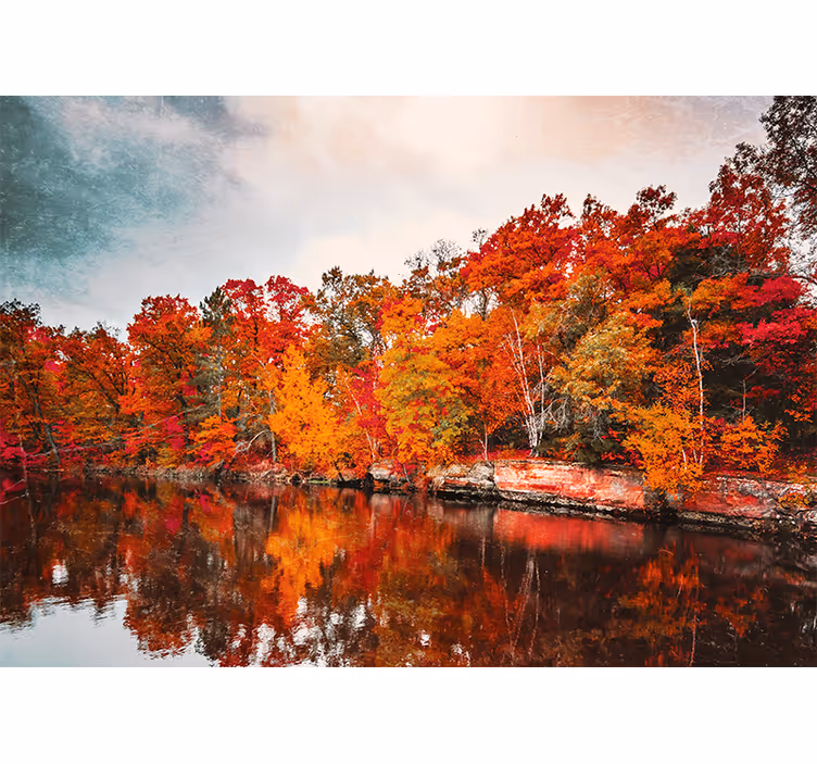 Estore de rolo quarto reflexo da floresta no lago - TenStickers