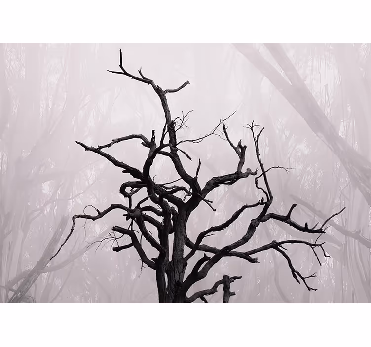 Estore de rolo quarto ramos de floresta natural na névoa - TenStickers