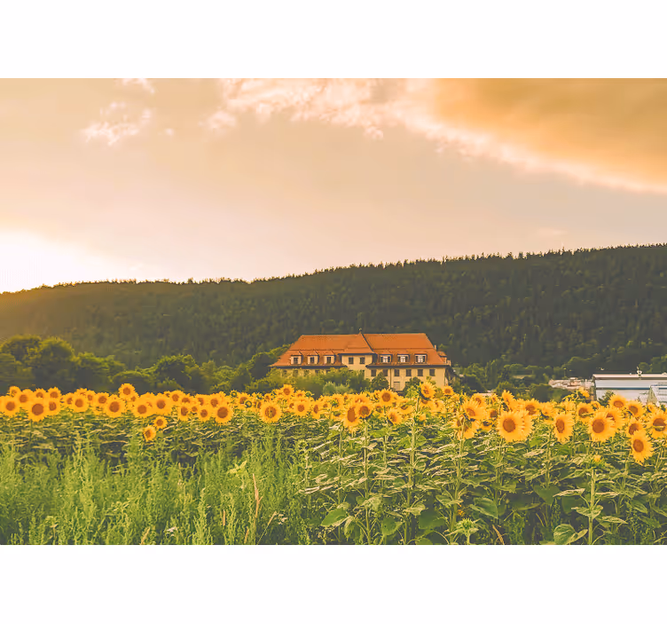 Estore de rolo quarto campo lindo coberto de flores amarelas - TenStickers