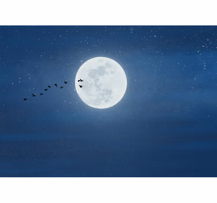 Estore de rolo para sala lua cheia e céu - TenStickers