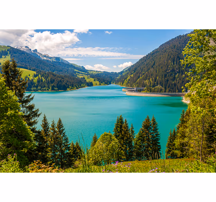 Estore de rolo para sala lago longrin - TenStickers