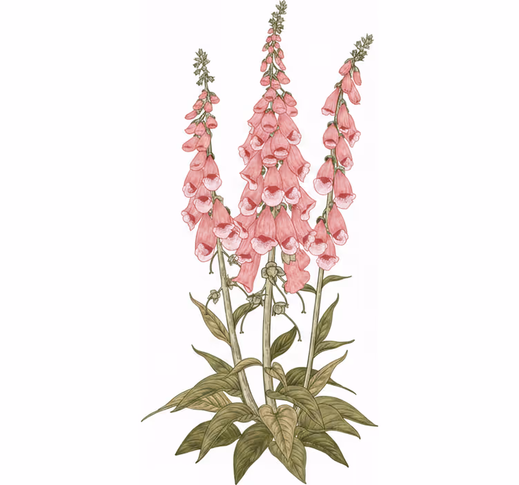 Estore de rolo para sala flores rosas - TenStickers