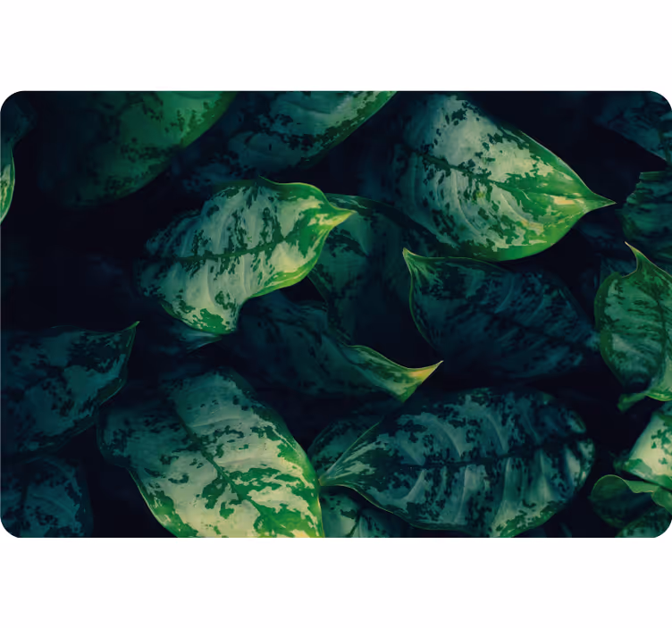 Estore de rolo quarto folhas de maranta - TenStickers