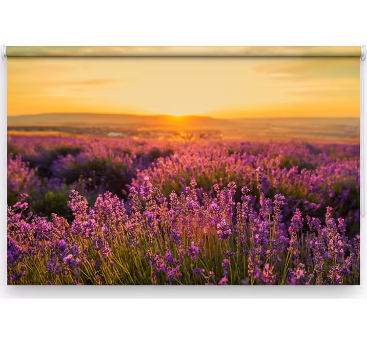 Estore de rolo quarto paisagem provençal - TenStickers