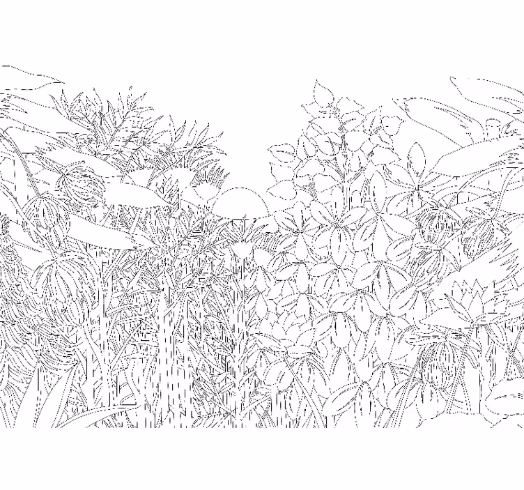 Estore de rolo quarto esboço de selva tropical - TenStickers