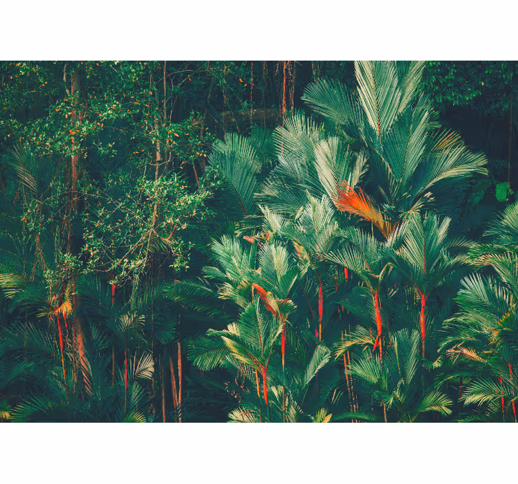 Estore de rolo quarto manhã na selva - TenStickers