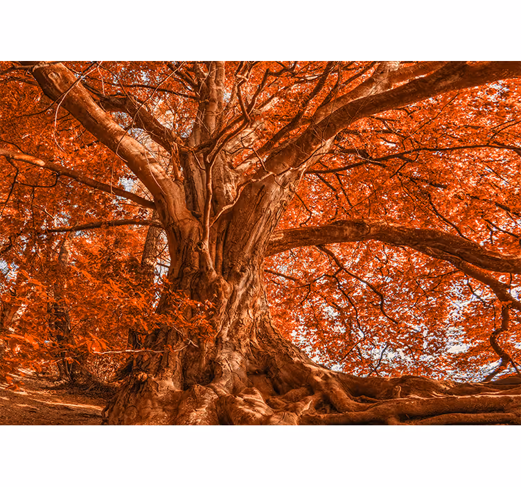 Estore de rolo quarto Árvore de outono grande e bela - TenStickers