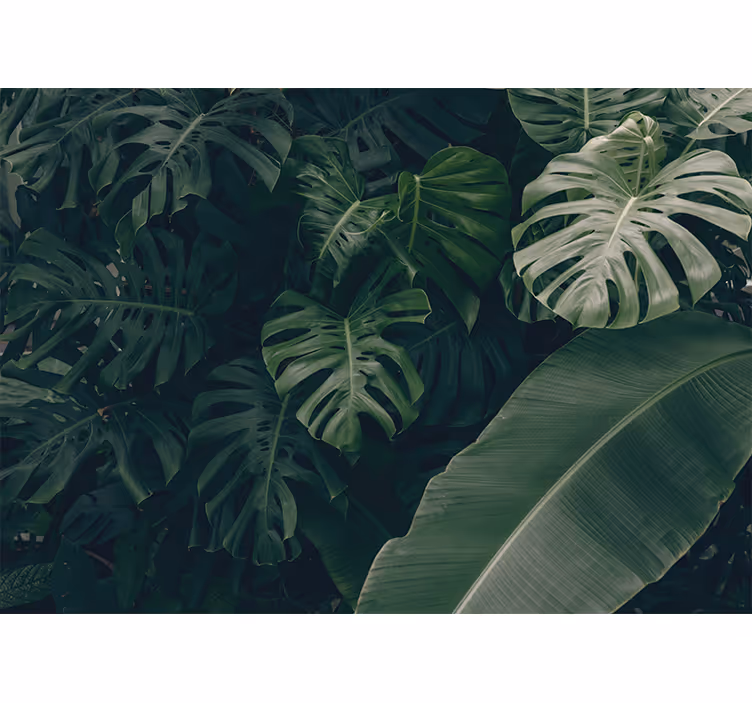 Estore de rolo quarto floresta verdejante bonita - TenStickers