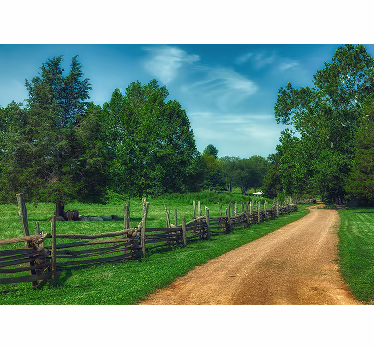 Estore de rolo quarto caminho da floresta verde de verão - TenStickers