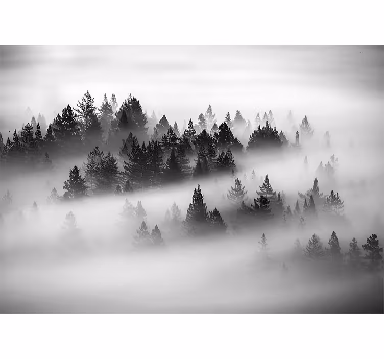 Estore de rolo quarto floresta encantada - TenStickers