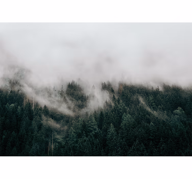 Estore de rolo quarto nuvens nebulosas da floresta - TenStickers