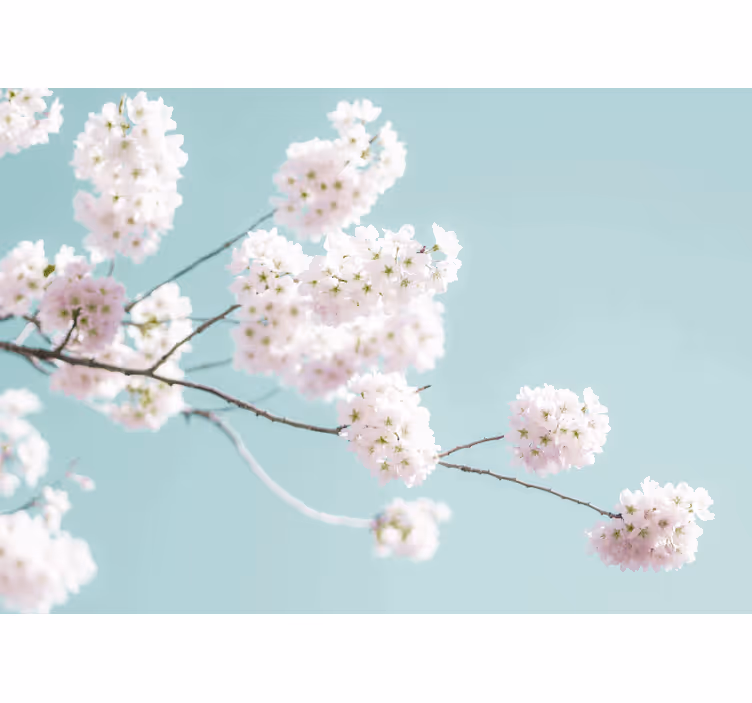 Estore de rolo branco com design floral elegante e feminino - TenStickers