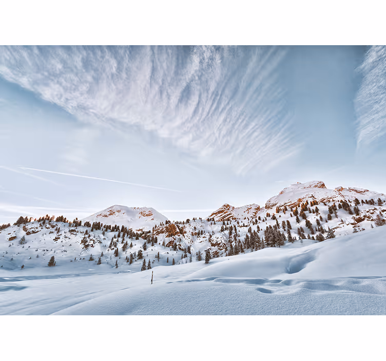Estore de rolo branco montanhas com neve - TenStickers