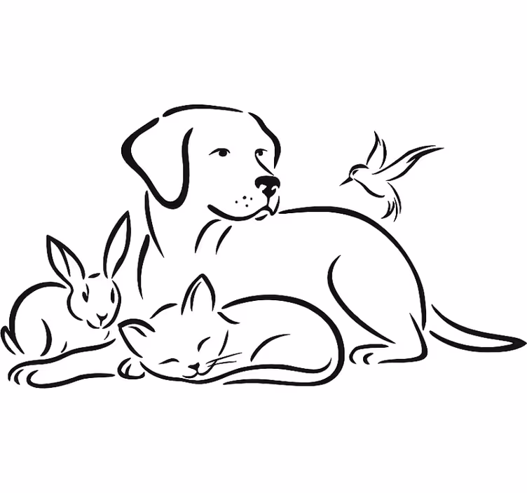 Estore de rolo branco adesivo de parede para pets - TenStickers