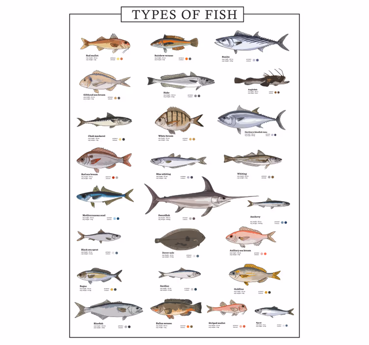 Estore de rolo para cozinha peixes - TenStickers