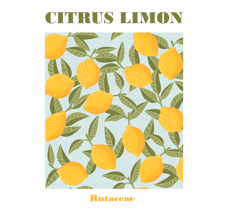 Estore de rolo para cozinha fruta limão - TenStickers