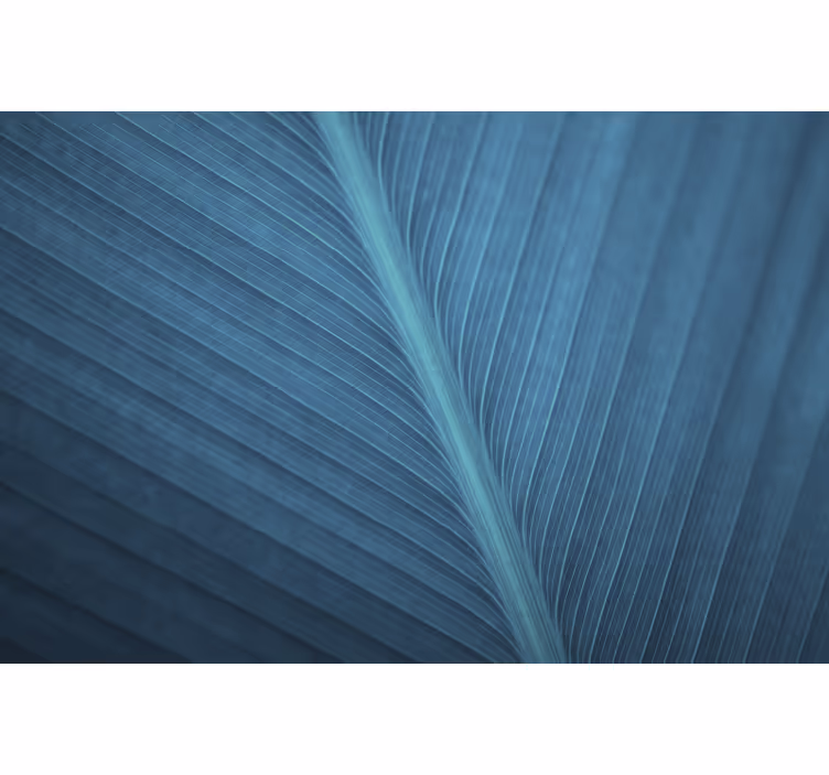 Estore de rolo azul folha grande azul cinza - TenStickers