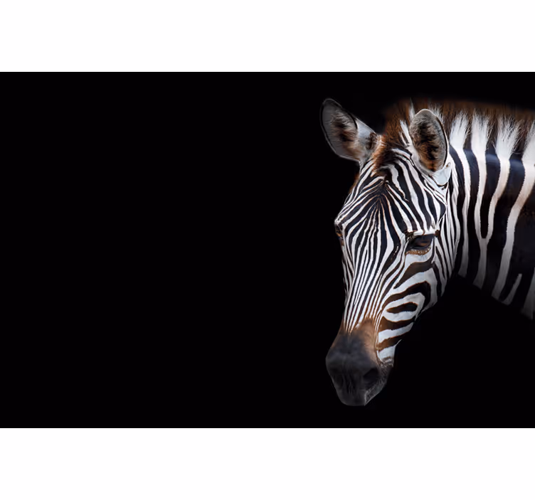 Estore de rolo preto imagem de zebra - TenStickers