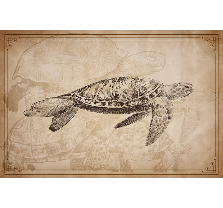 Estore de rolo bege tartarugas desenhadas à mão - TenStickers