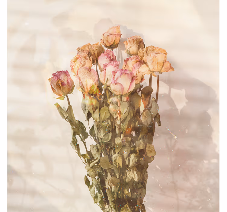 Estore de rolo para sala flores silvestres campestres - TenStickers