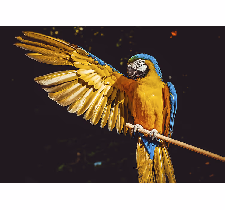Estore de rolo quarto aves tropicais - TenStickers
