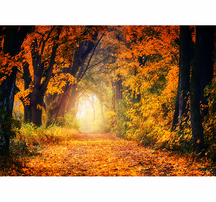 Estore de rolo quarto floresta colorida de outono - TenStickers