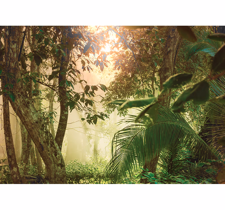Estore de rolo quarto vida amazônica - TenStickers