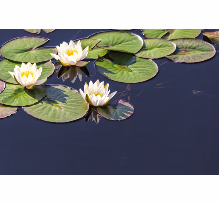 Estore de rolo quarto lótus realista em lago - TenStickers