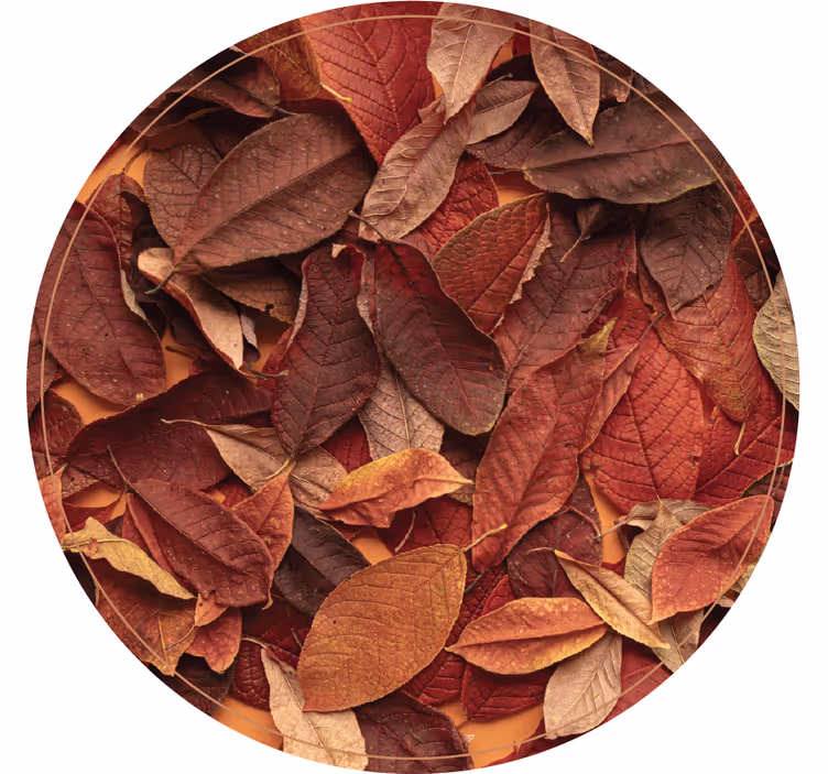 Estore de rolo quarto piso escuro outonal - TenStickers