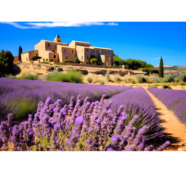 Estore de rolo para sala campo de lavanda na frança - TenStickers