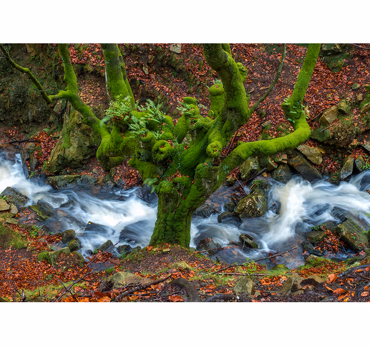 Estore de rolo para sala gorbea - TenStickers