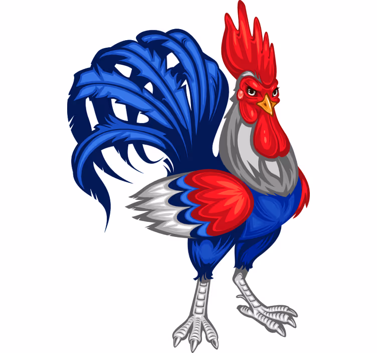 Estore de rolo juvenil galo francês decorativo - TenStickers