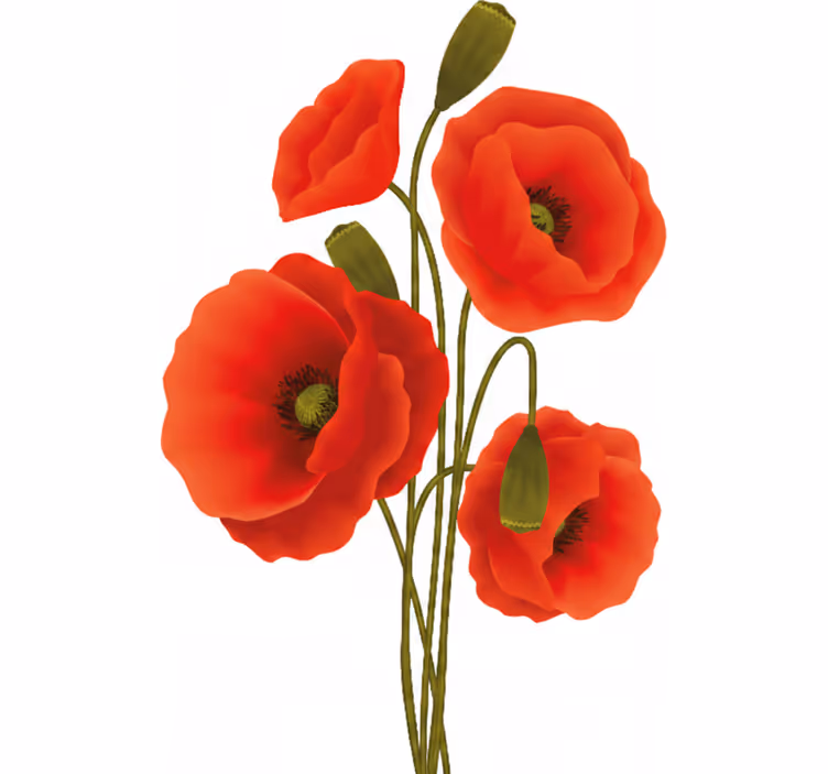 Estore de rolo florais papoulas - TenStickers