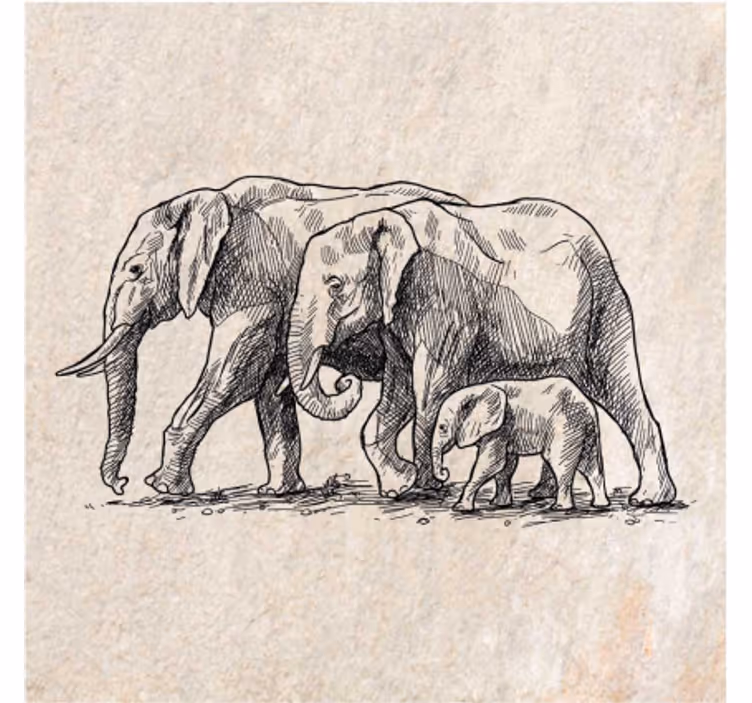 Estores de rolo de animais esboço de elefantes - TenStickers